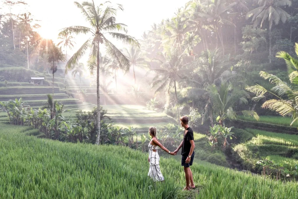 tegalalang rice terrace bali